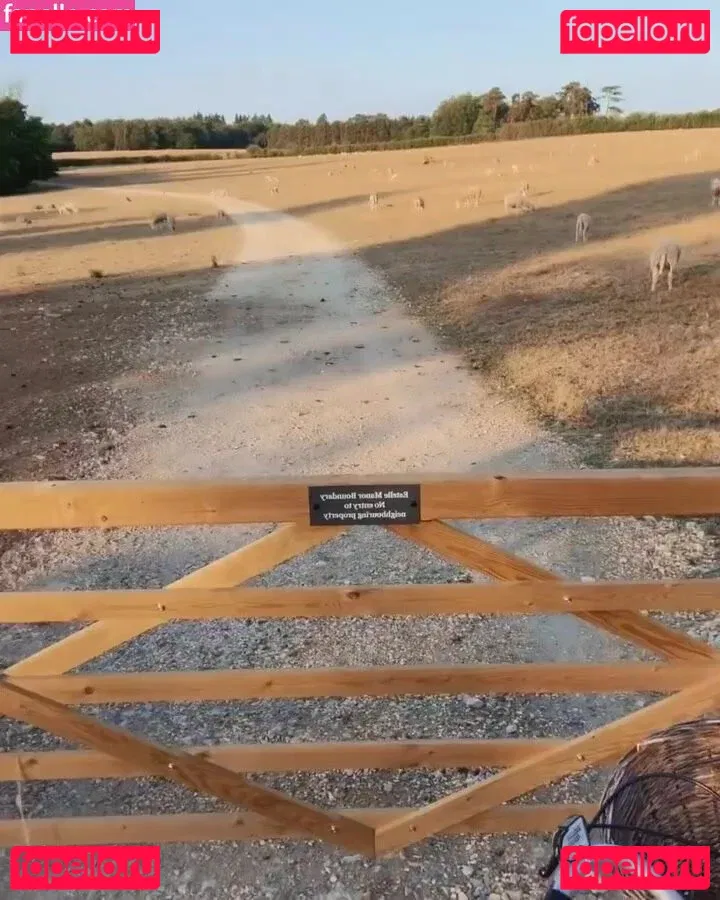 Serinda Swan Onlyfans Photo Gallery 