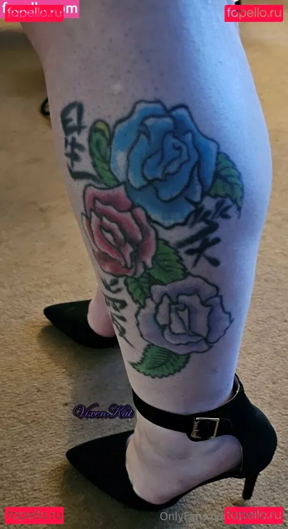 vixenkat Onlyfans Photo Gallery 