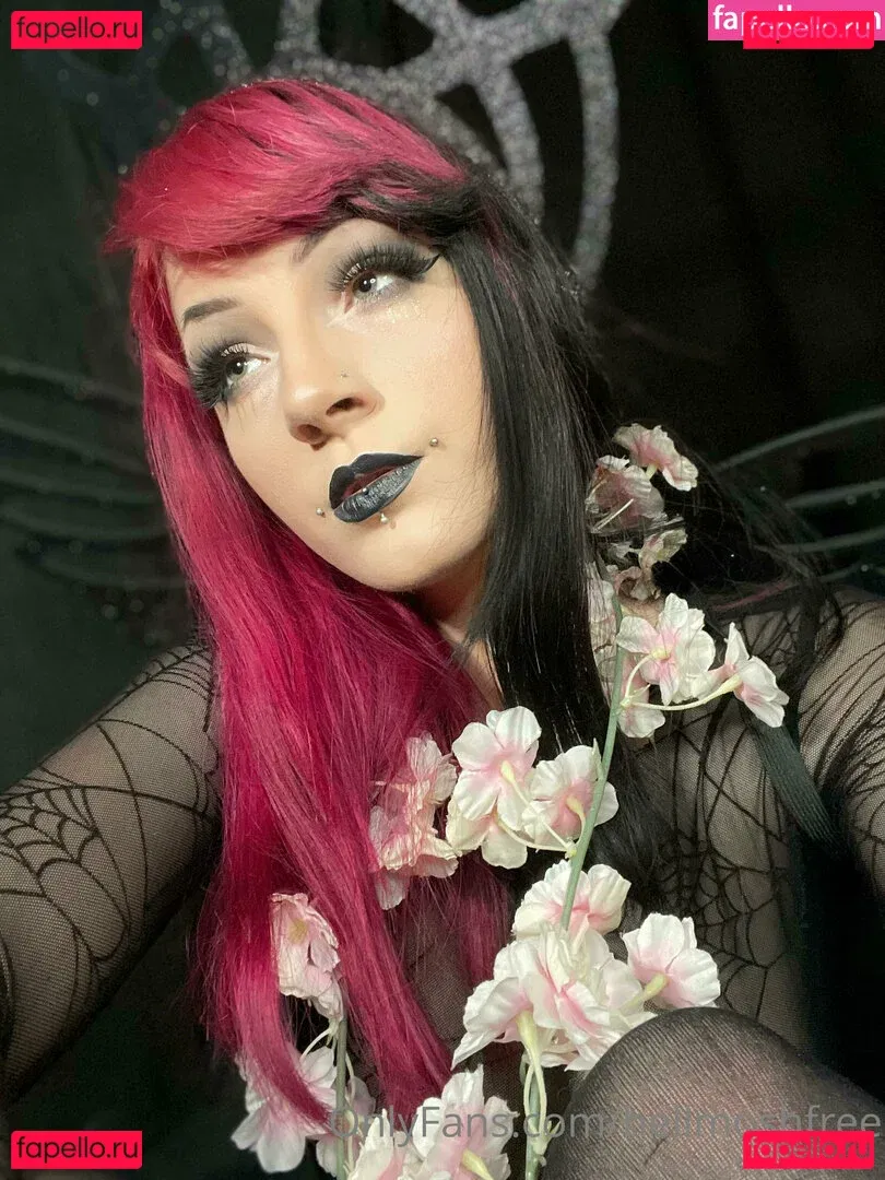 hellmoshfree Onlyfans Photo Gallery 