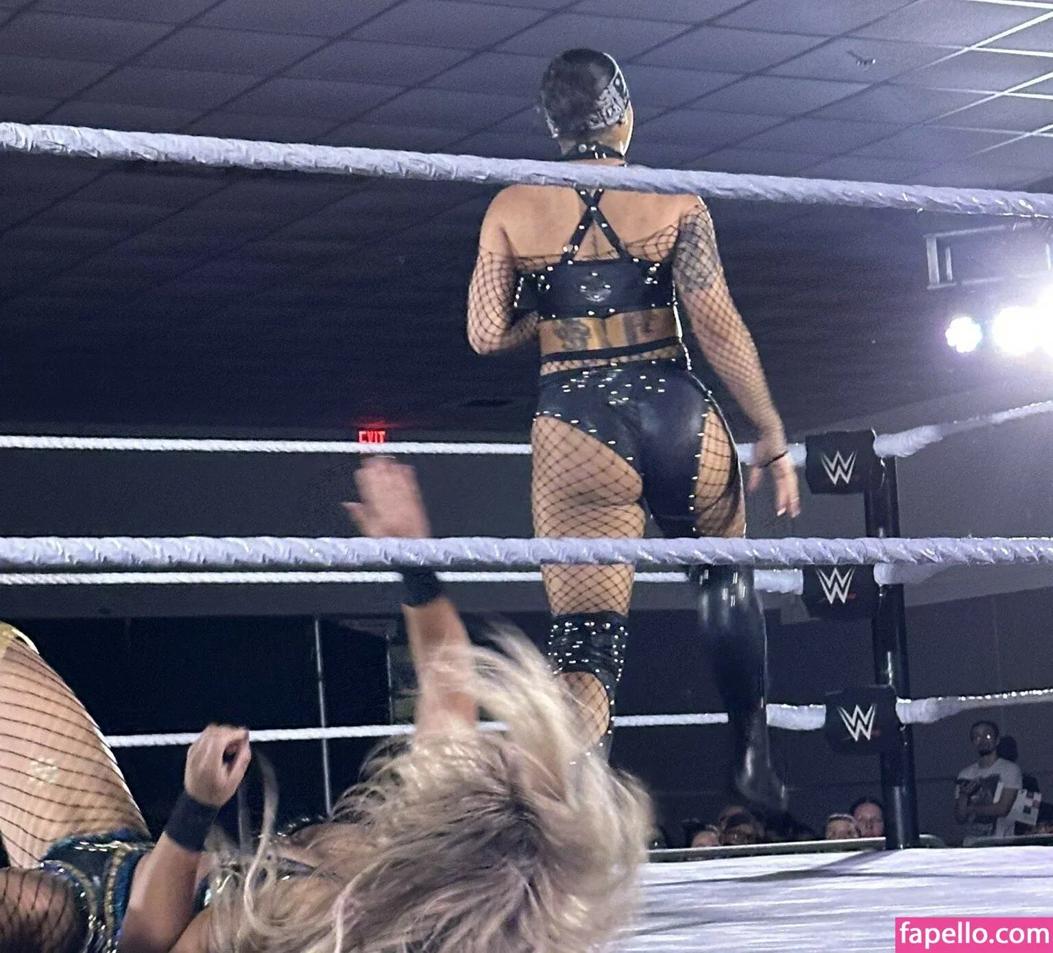 Jaida Parker - WWE Onlyfans Photo Gallery 