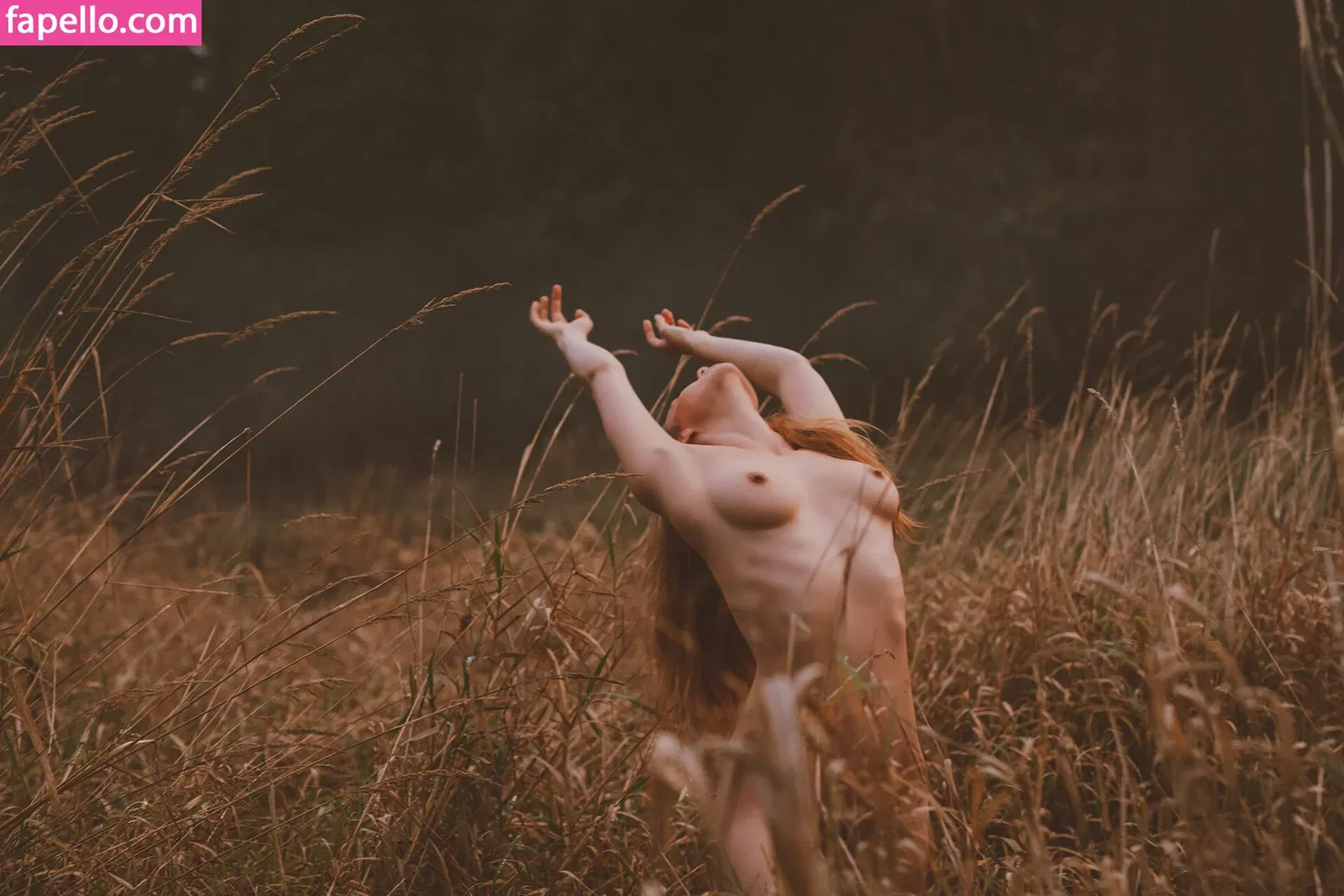 kayla.vy Onlyfans Photo Gallery 