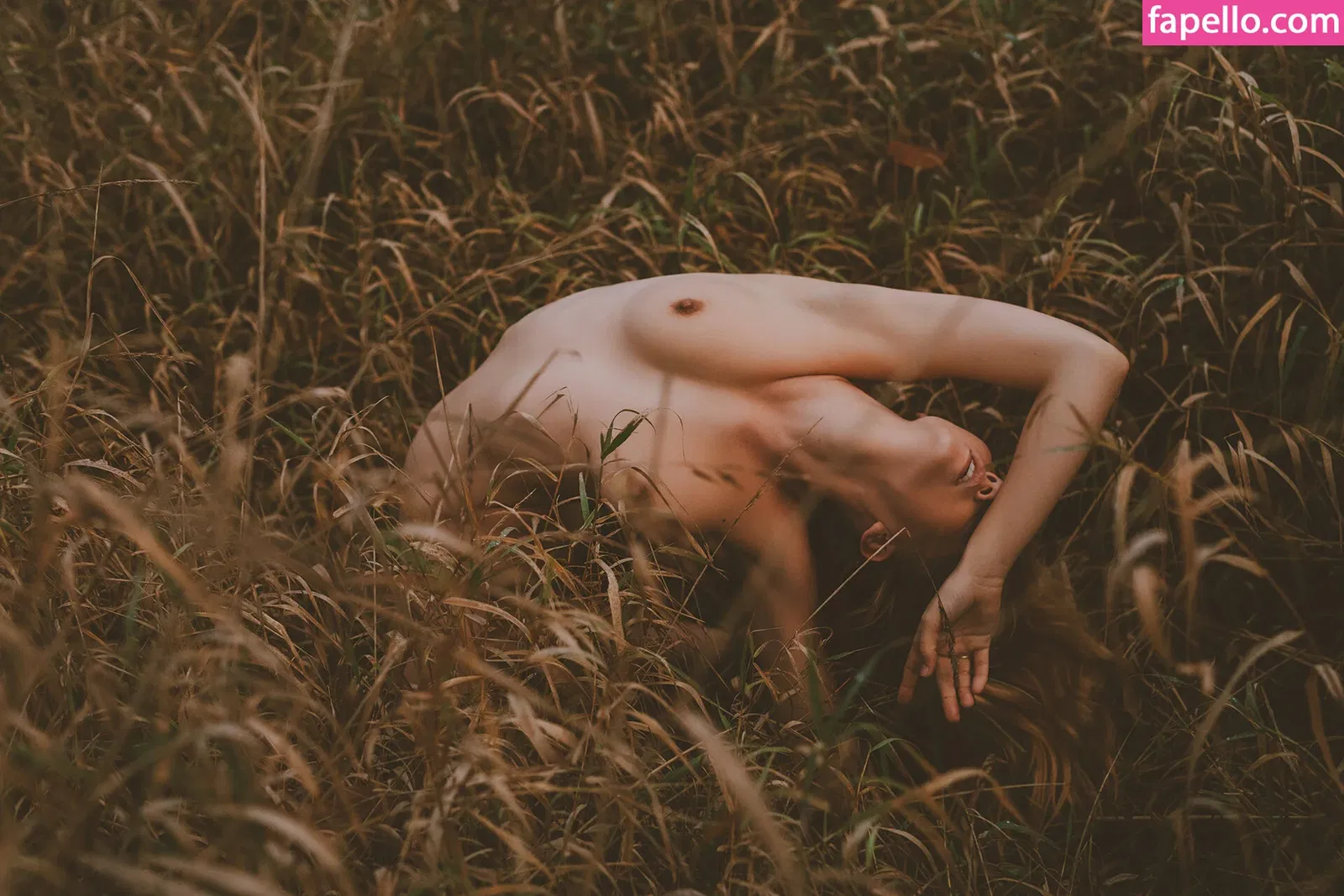 kayla.vy Onlyfans Photo Gallery 