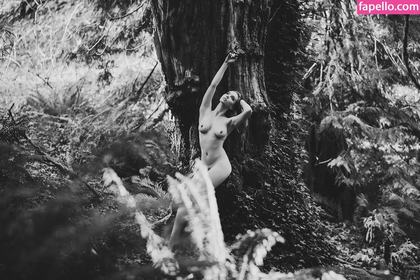 kayla.vy Onlyfans Photo Gallery 