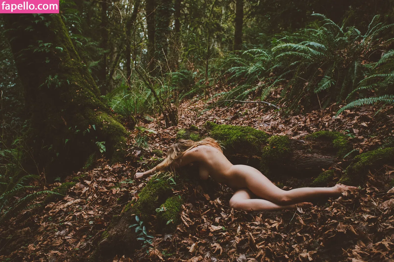 kayla.vy Onlyfans Photo Gallery 