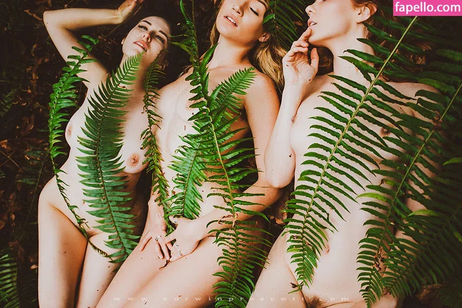 kayla.vy Onlyfans Photo Gallery 