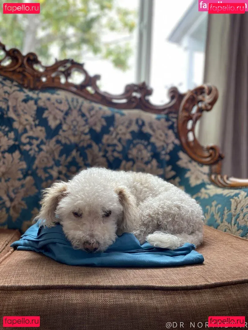 goddessemberz Onlyfans Photo Gallery 