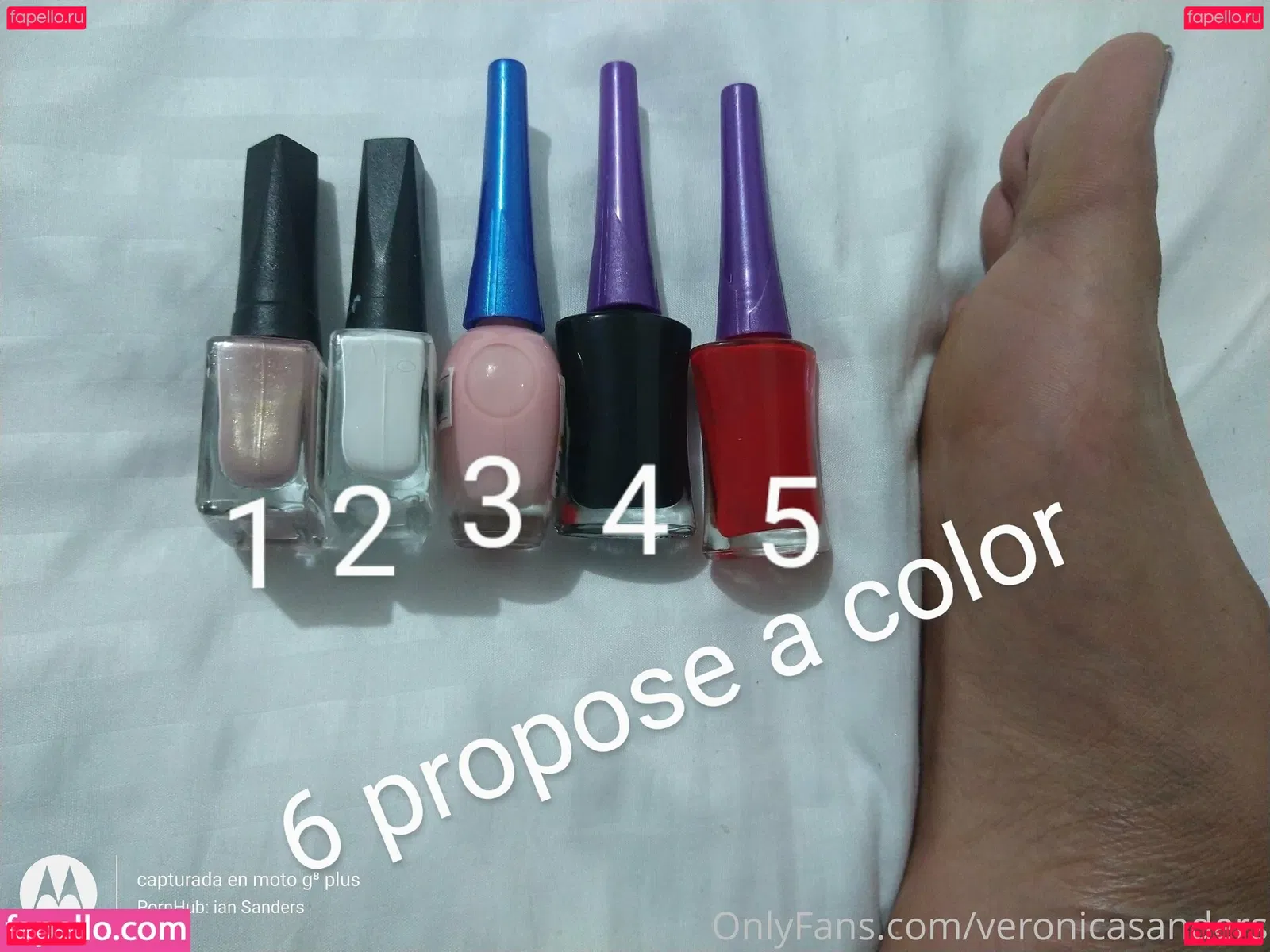 veronicasanders Onlyfans Photo Gallery 