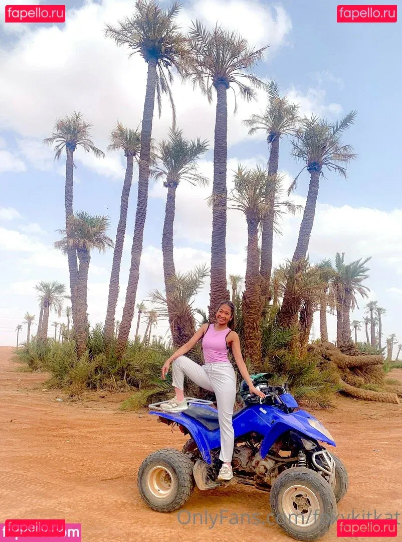 foxykitkat Onlyfans Photo Gallery 