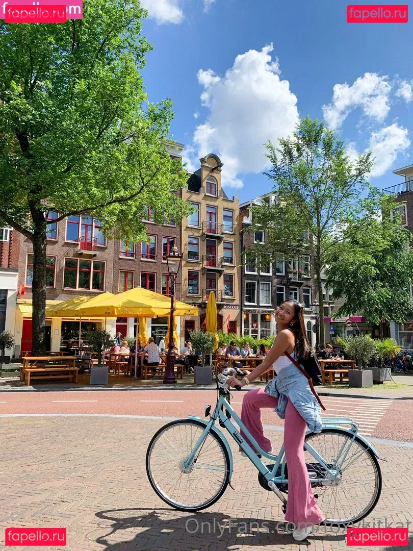 foxykitkat Onlyfans Photo Gallery 