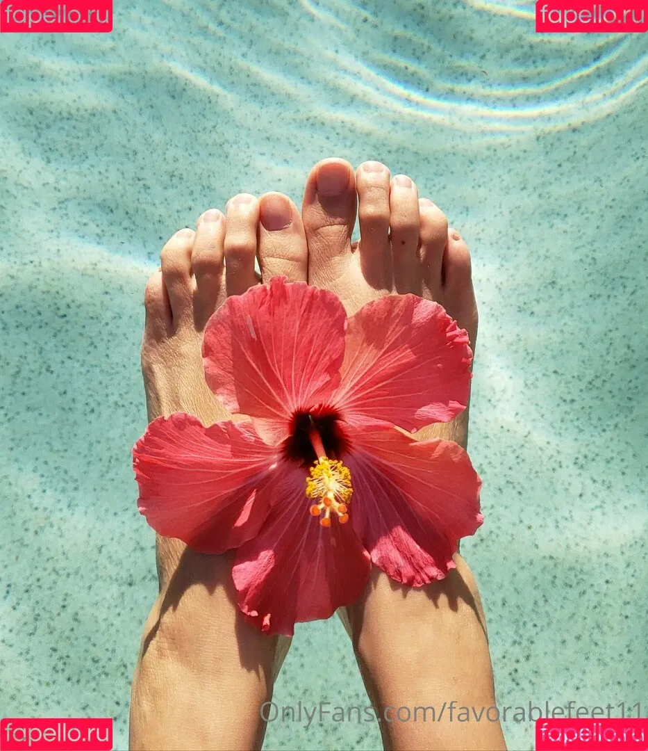 favorablefeet11 Onlyfans Photo Gallery 