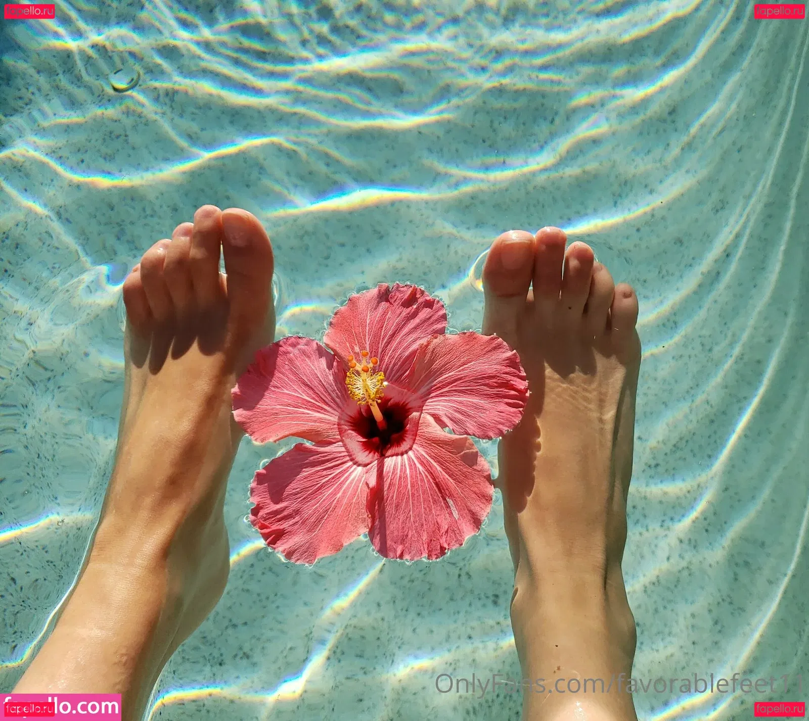 favorablefeet11 Onlyfans Photo Gallery 