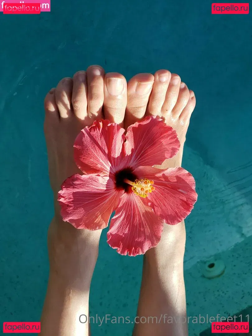 favorablefeet11 Onlyfans Photo Gallery 