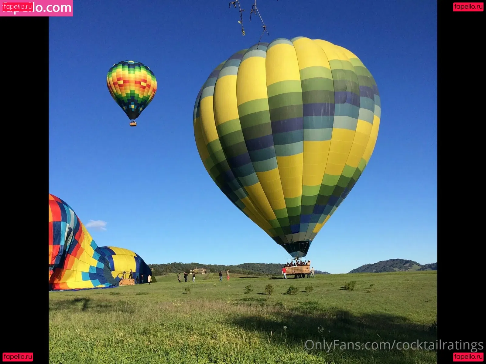 torgalore Onlyfans Photo Gallery 