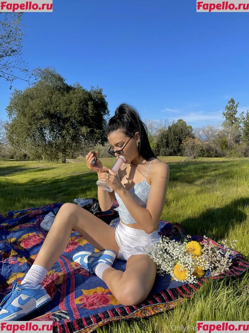 Jadadireito Onlyfans Photo Gallery 