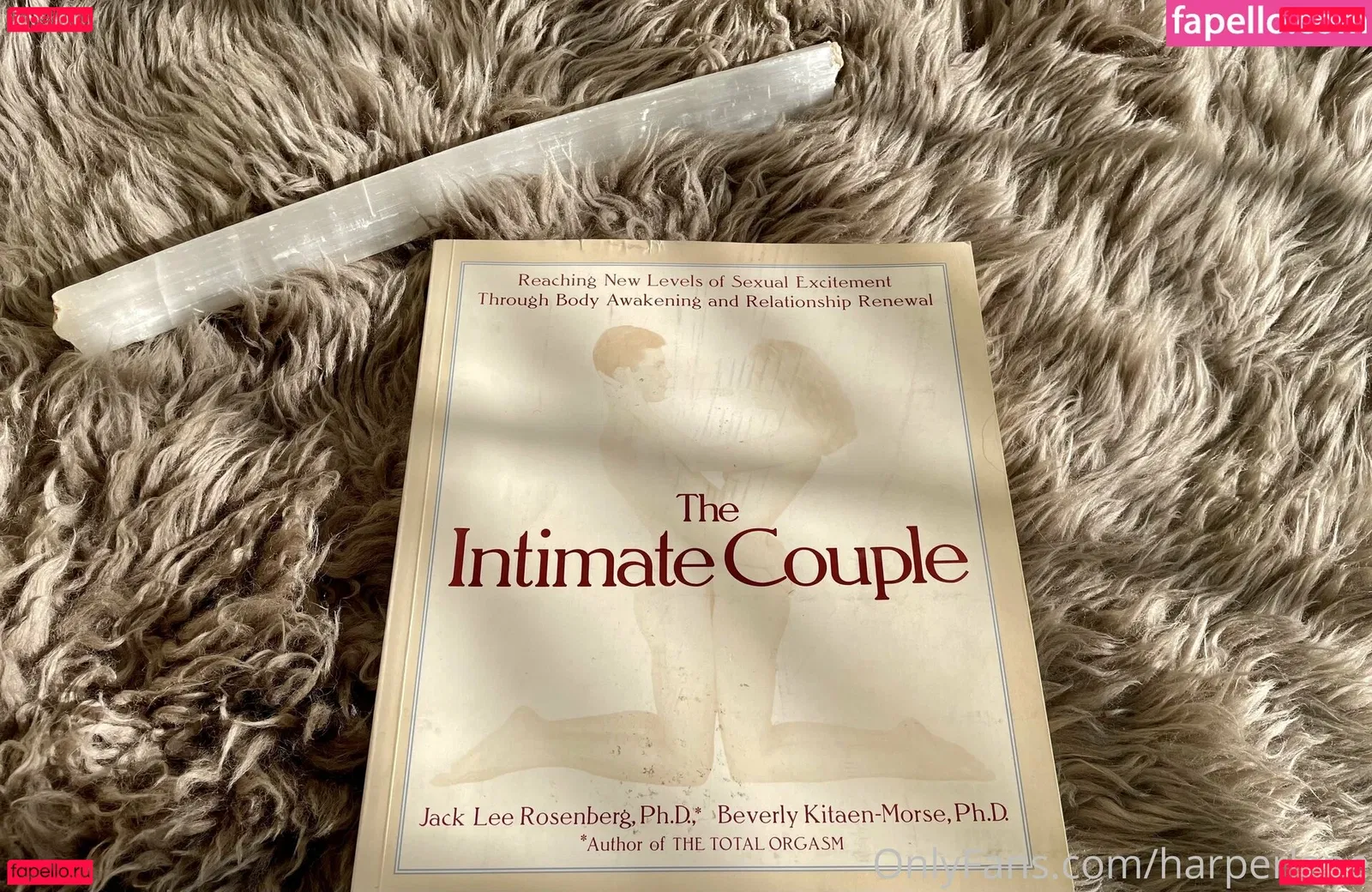 harperlane Onlyfans Photo Gallery 