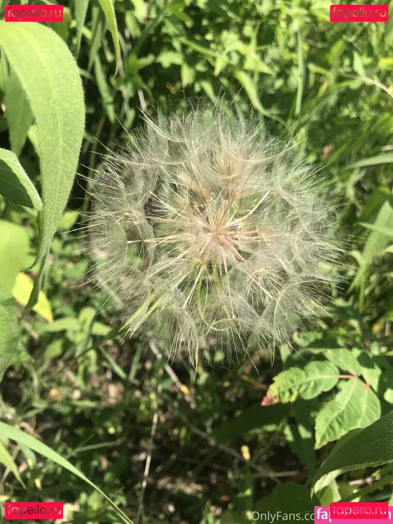 harperlane Onlyfans Photo Gallery 