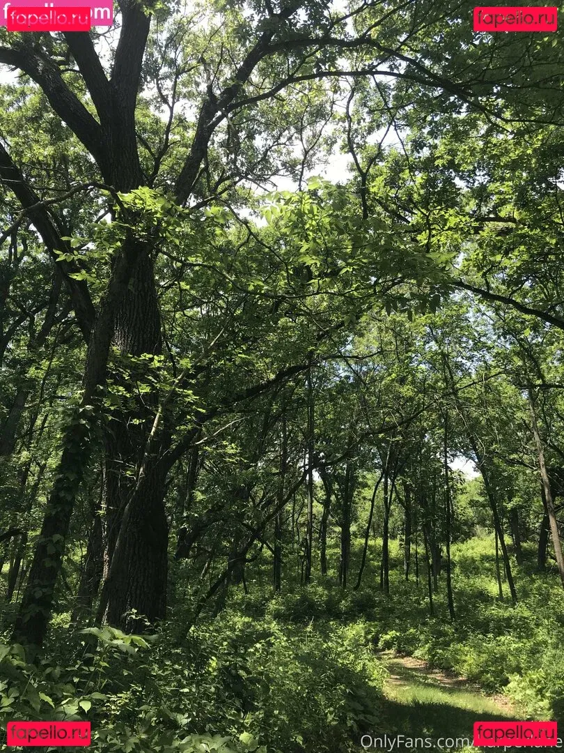 harperlane Onlyfans Photo Gallery 