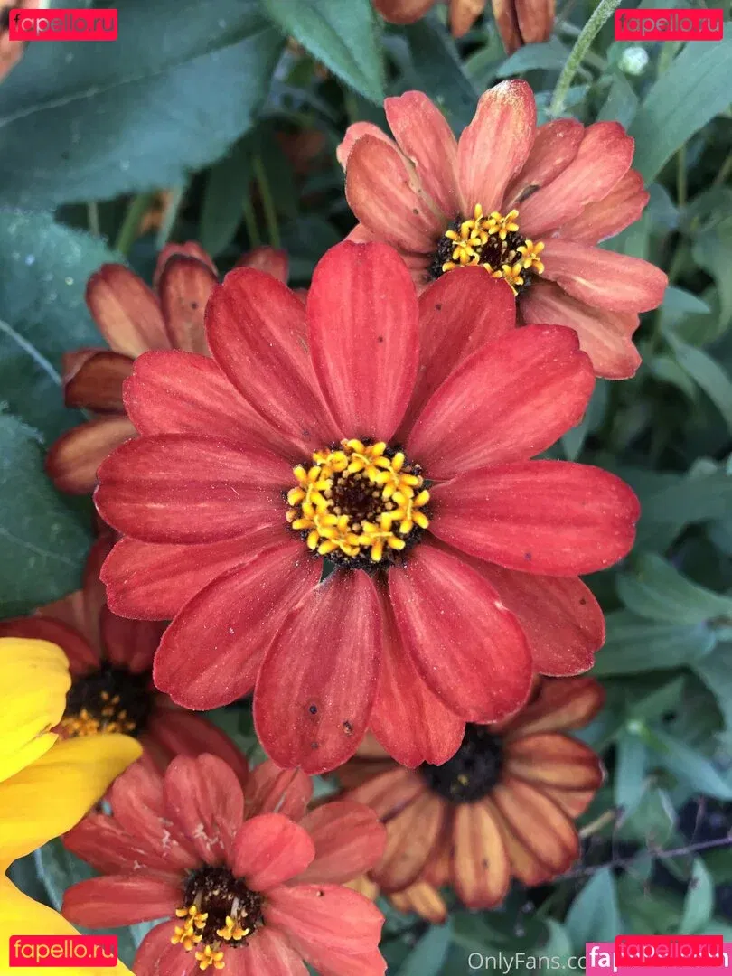 harperlane Onlyfans Photo Gallery 