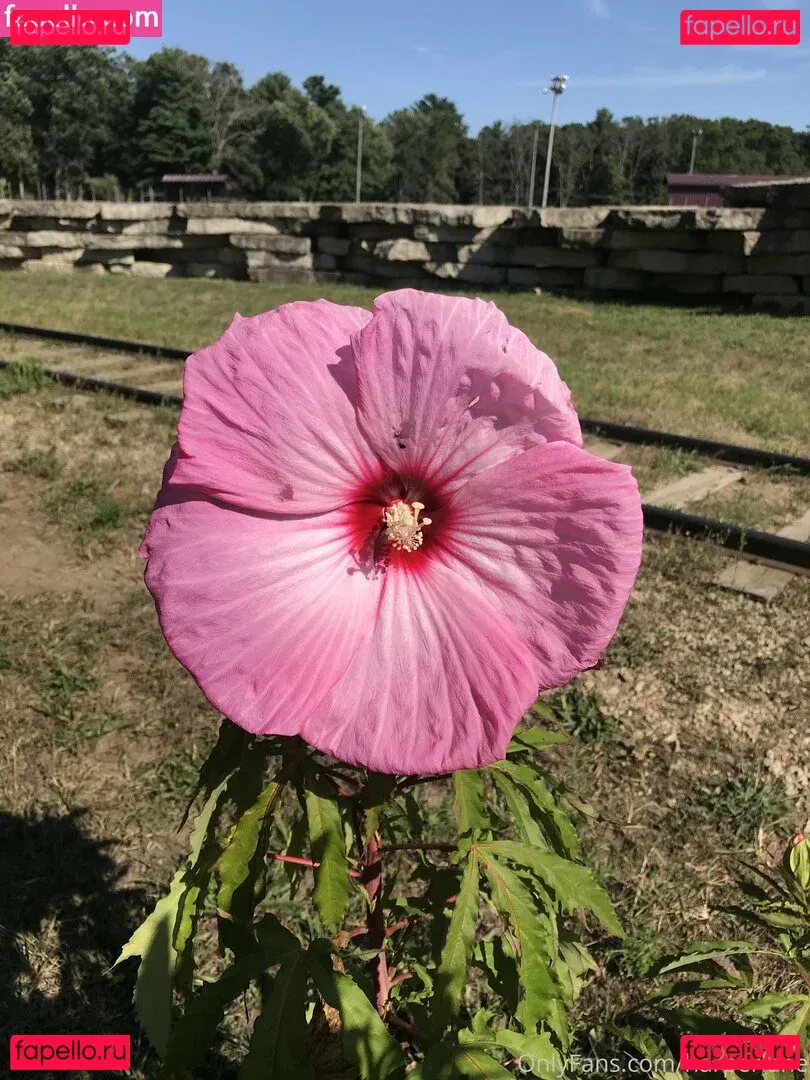 harperlane Onlyfans Photo Gallery 