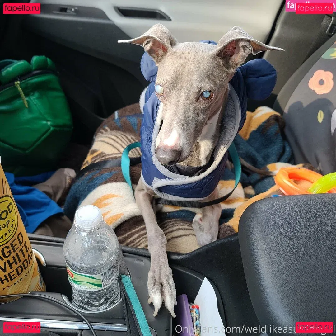 weldlikeababe Onlyfans Photo Gallery 