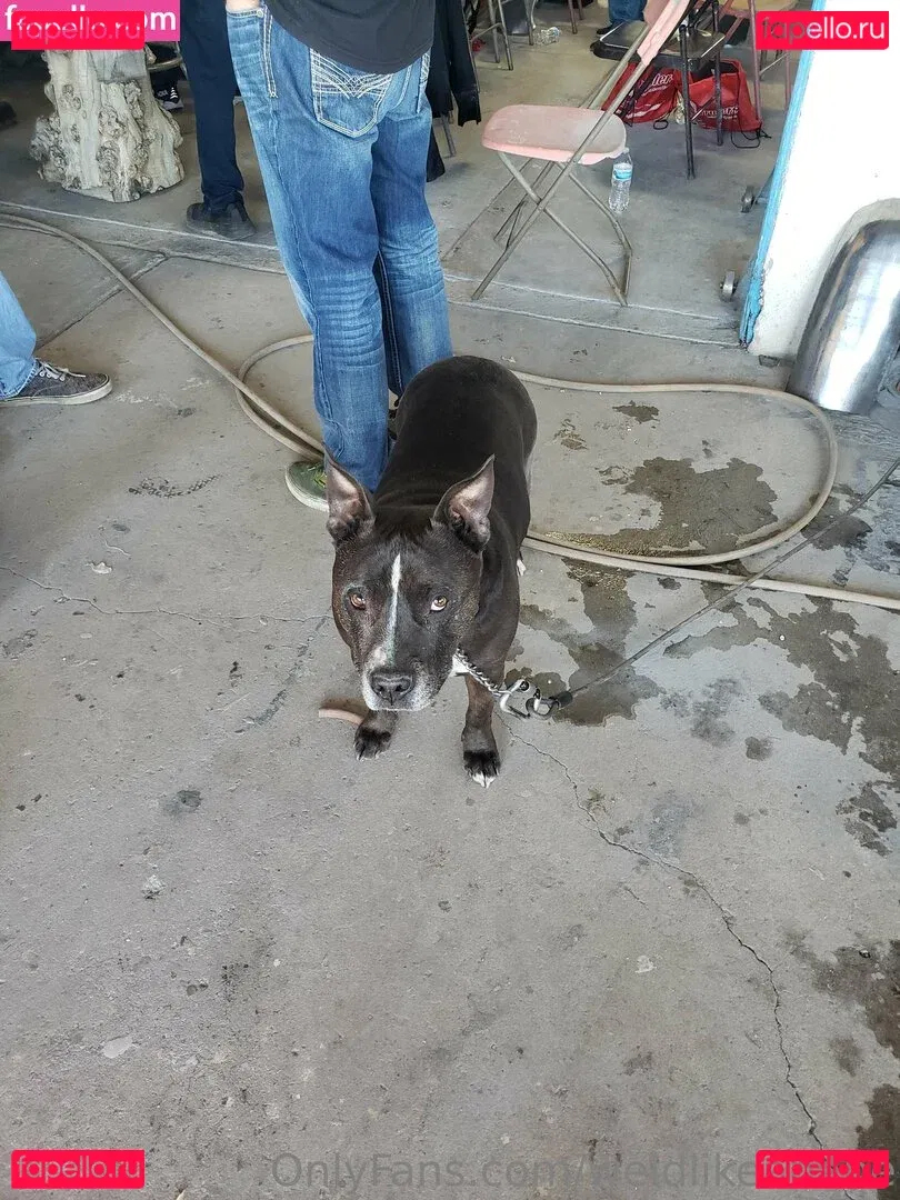 weldlikeababe Onlyfans Photo Gallery 