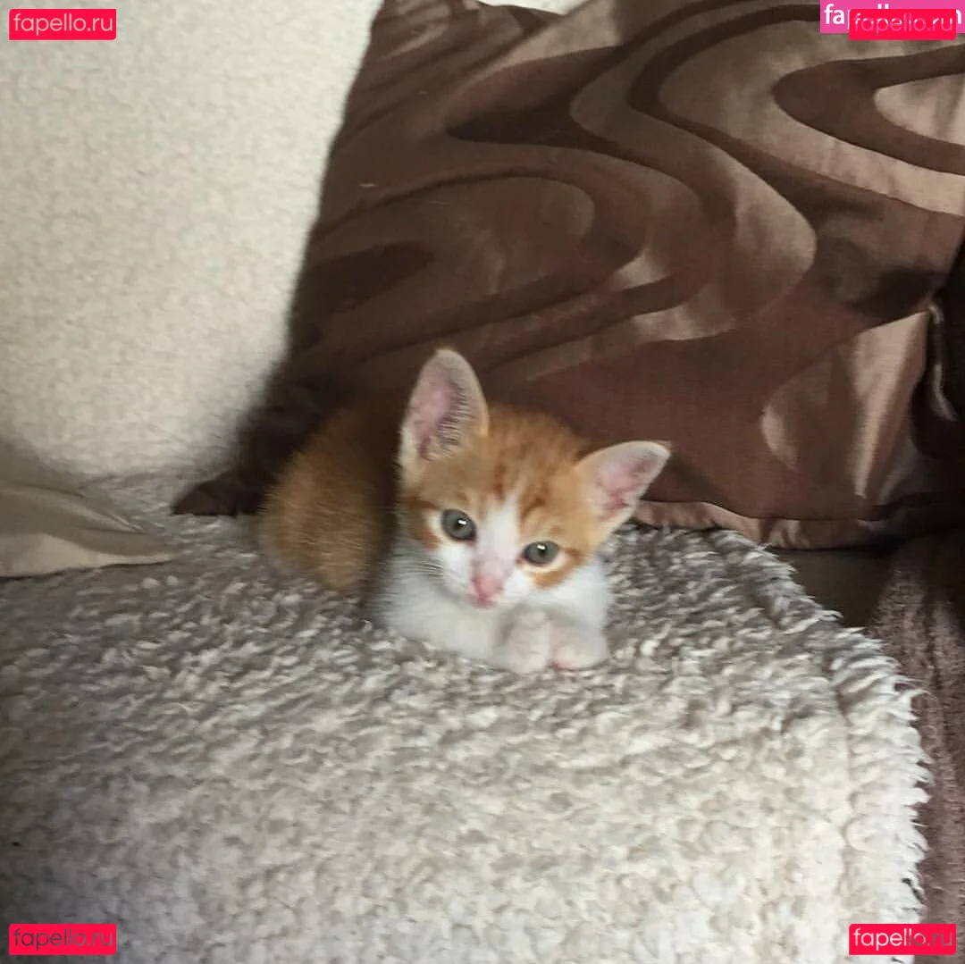 cutie_anna Onlyfans Photo Gallery 