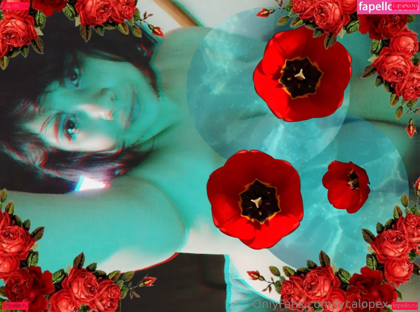 lycalopex.ignis Onlyfans Photo Gallery 