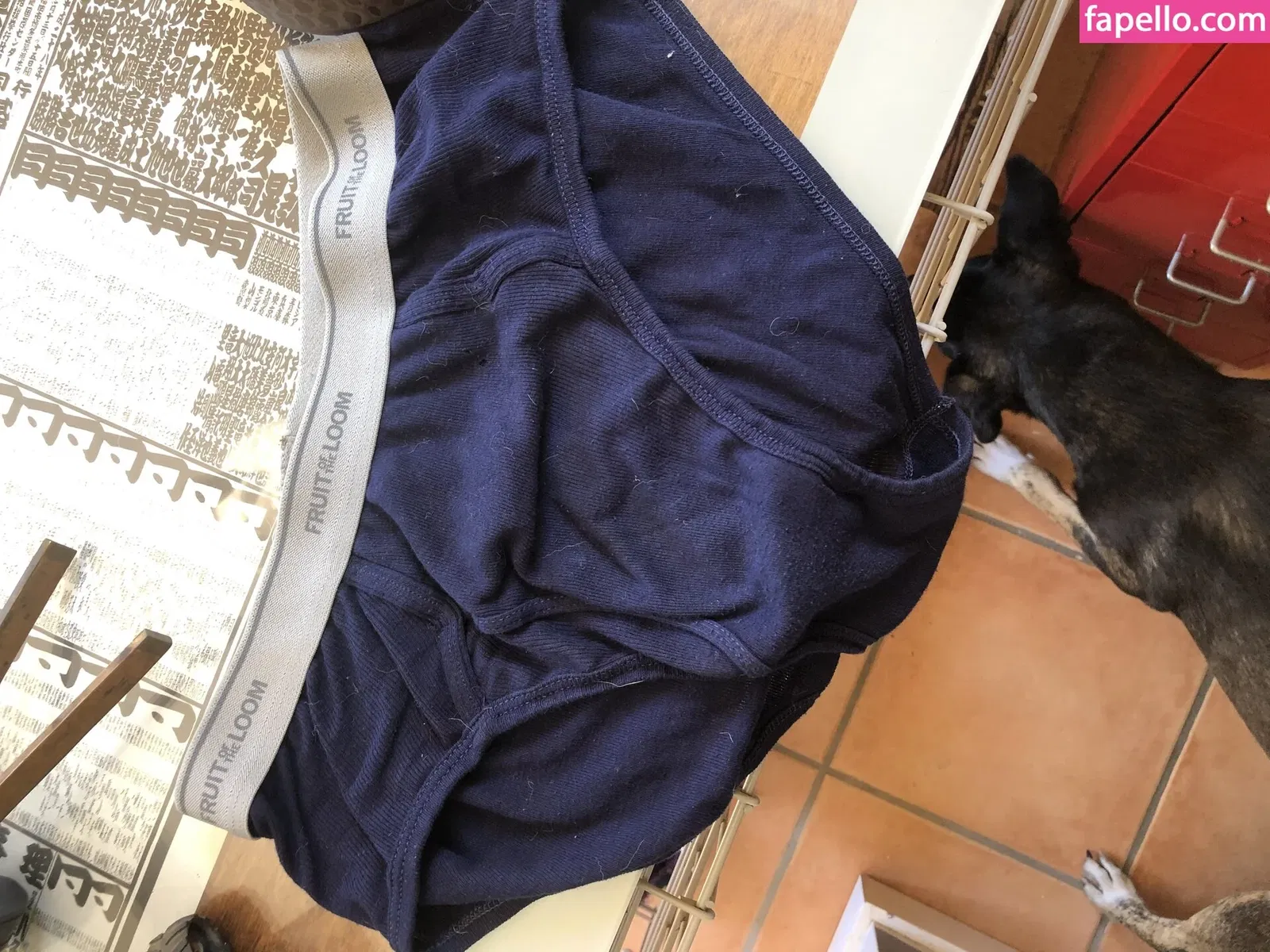 abeardedboy Onlyfans Photo Gallery 