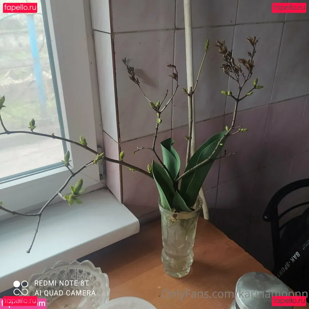 karinamoonn Onlyfans Photo Gallery 