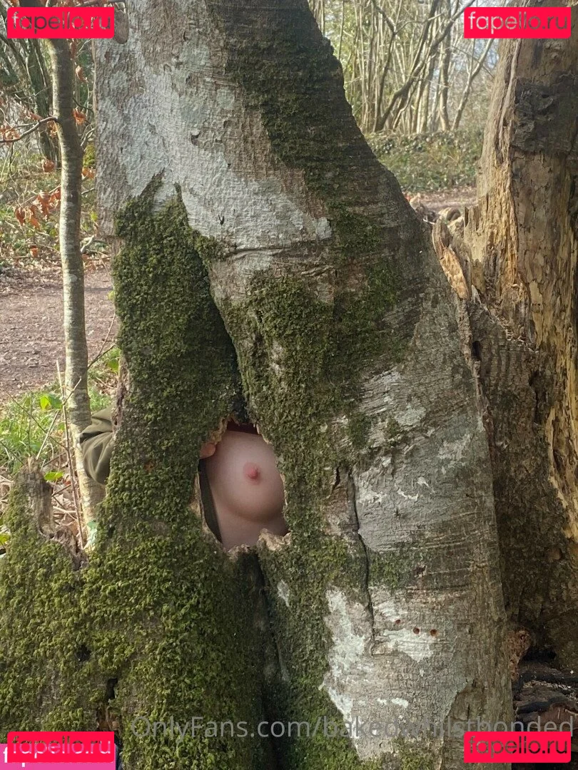 Bakedwhilstbonded Onlyfans Photo Gallery 