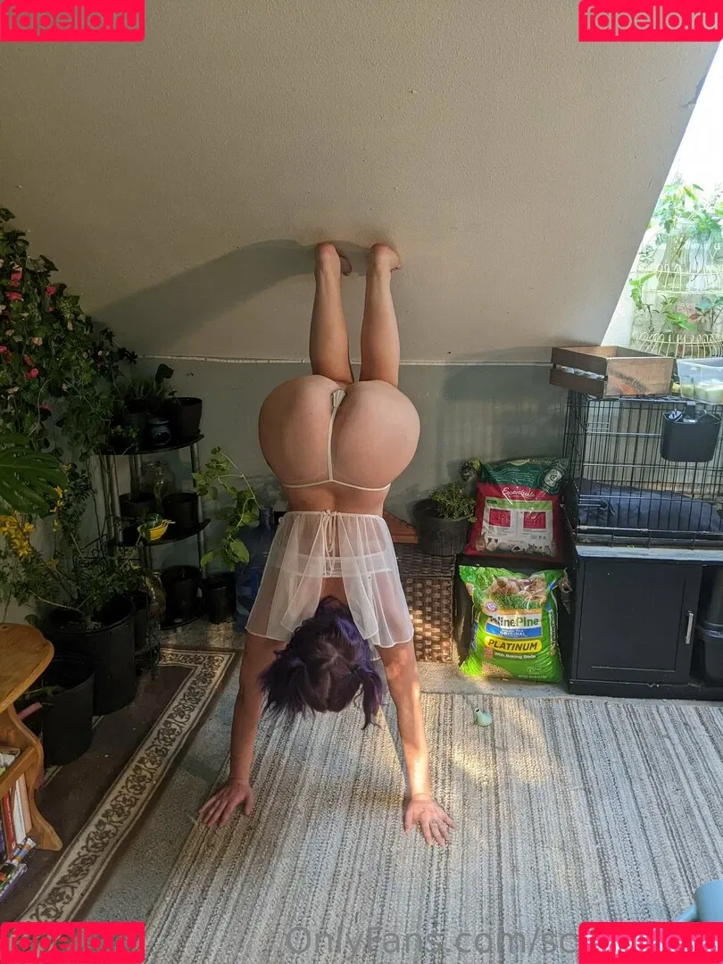 scaryahna Onlyfans Photo Gallery 