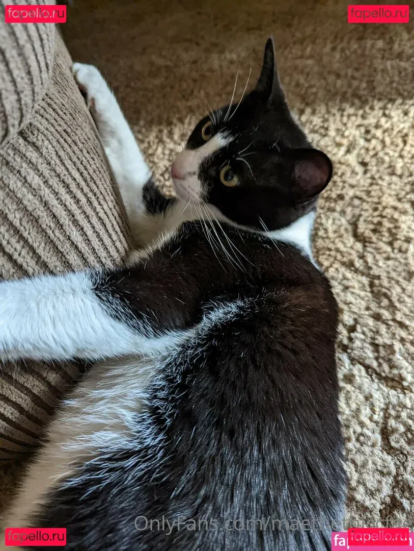 maethethiccfae Onlyfans Photo Gallery 