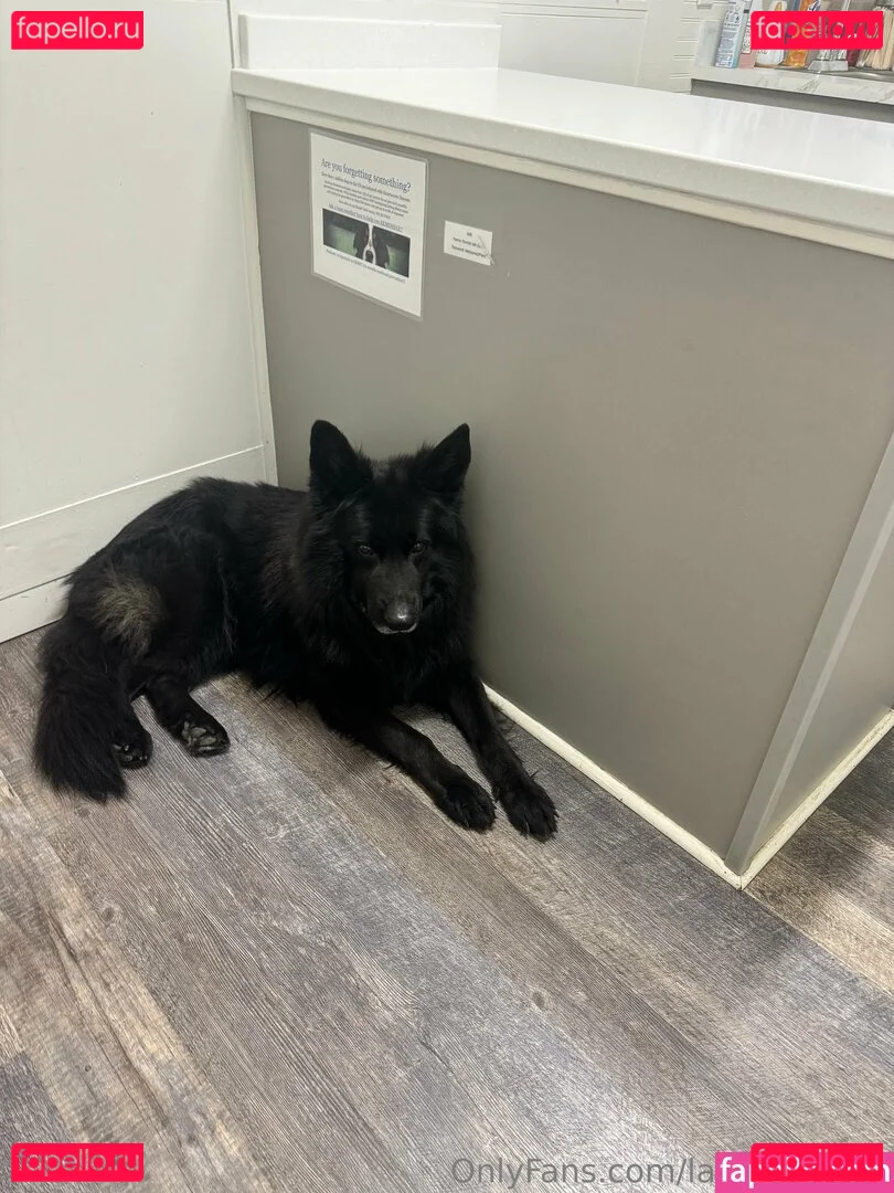 laurenann77 Onlyfans Photo Gallery 