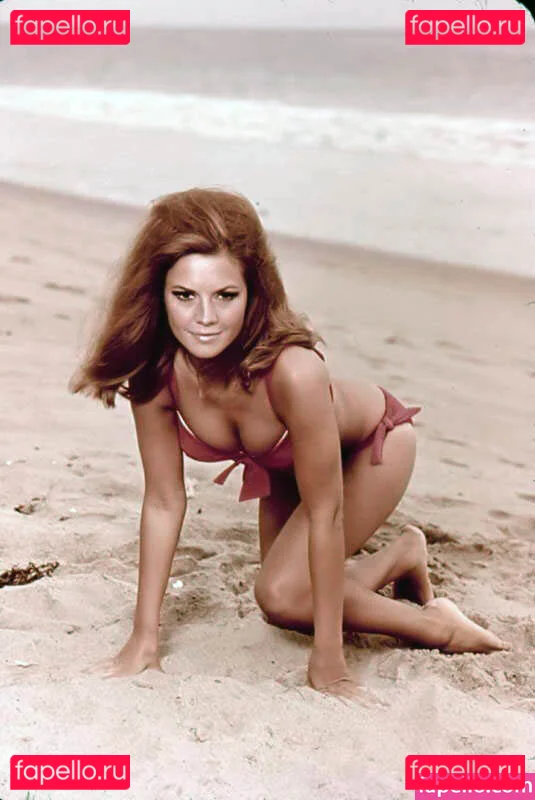 Vintage Starlets Onlyfans Photo Gallery 