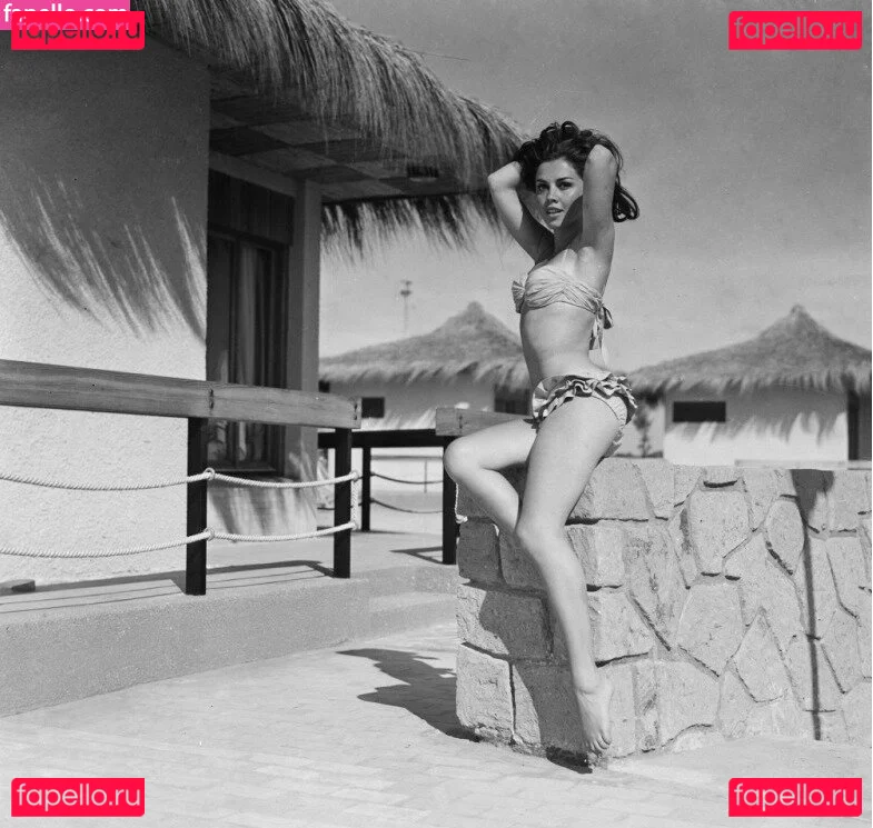 Vintage Starlets Onlyfans Photo Gallery 