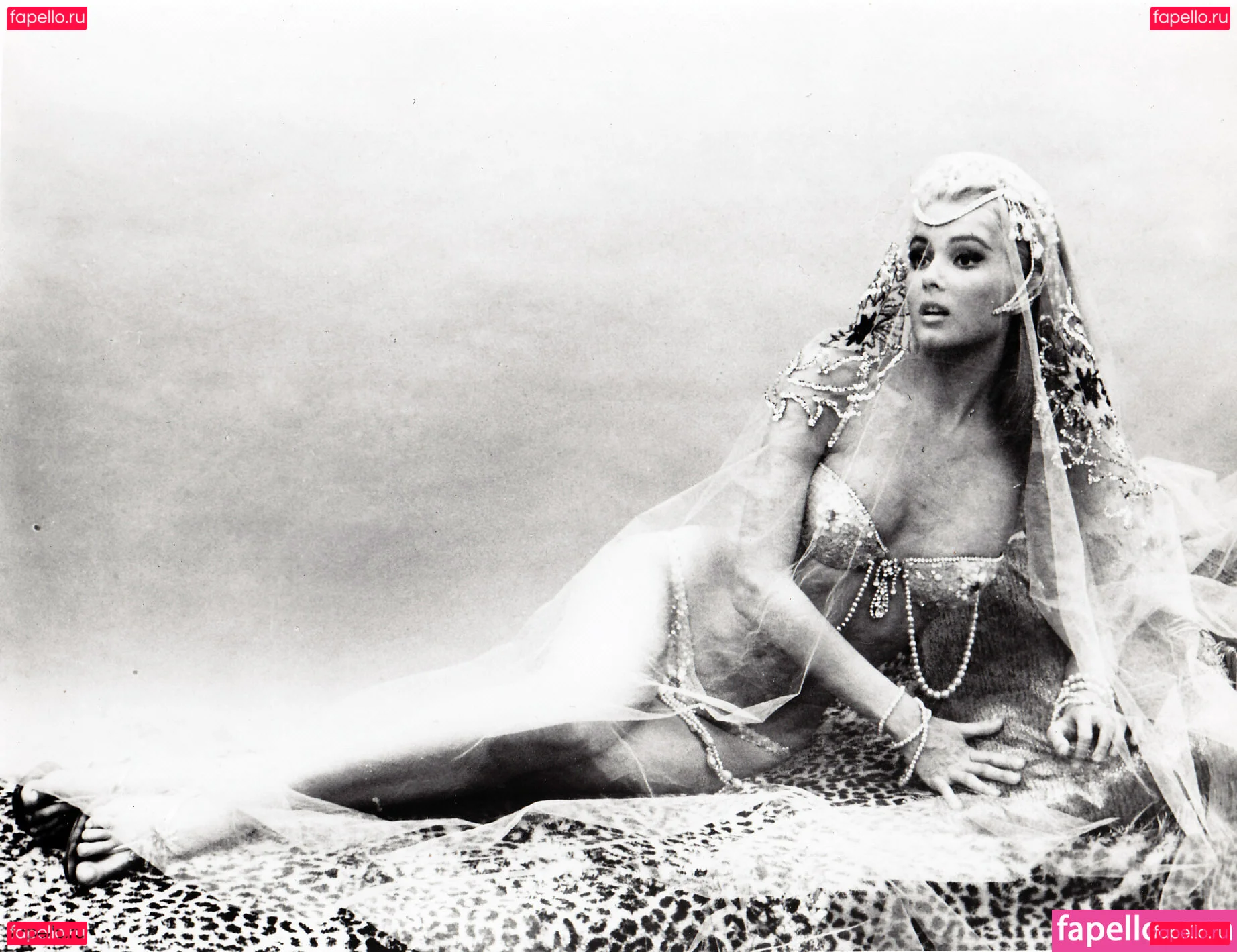 Vintage Starlets Onlyfans Photo Gallery 