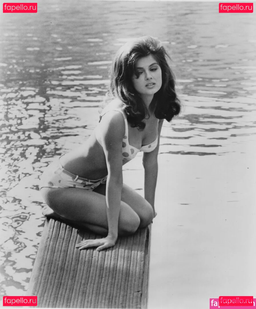 Vintage Starlets Onlyfans Photo Gallery 