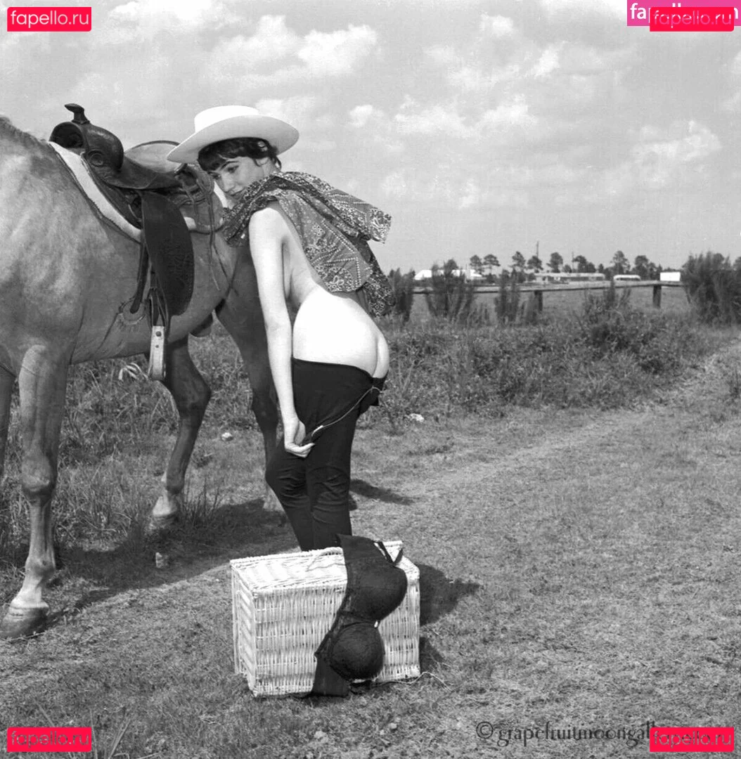 Vintage Starlets Onlyfans Photo Gallery 