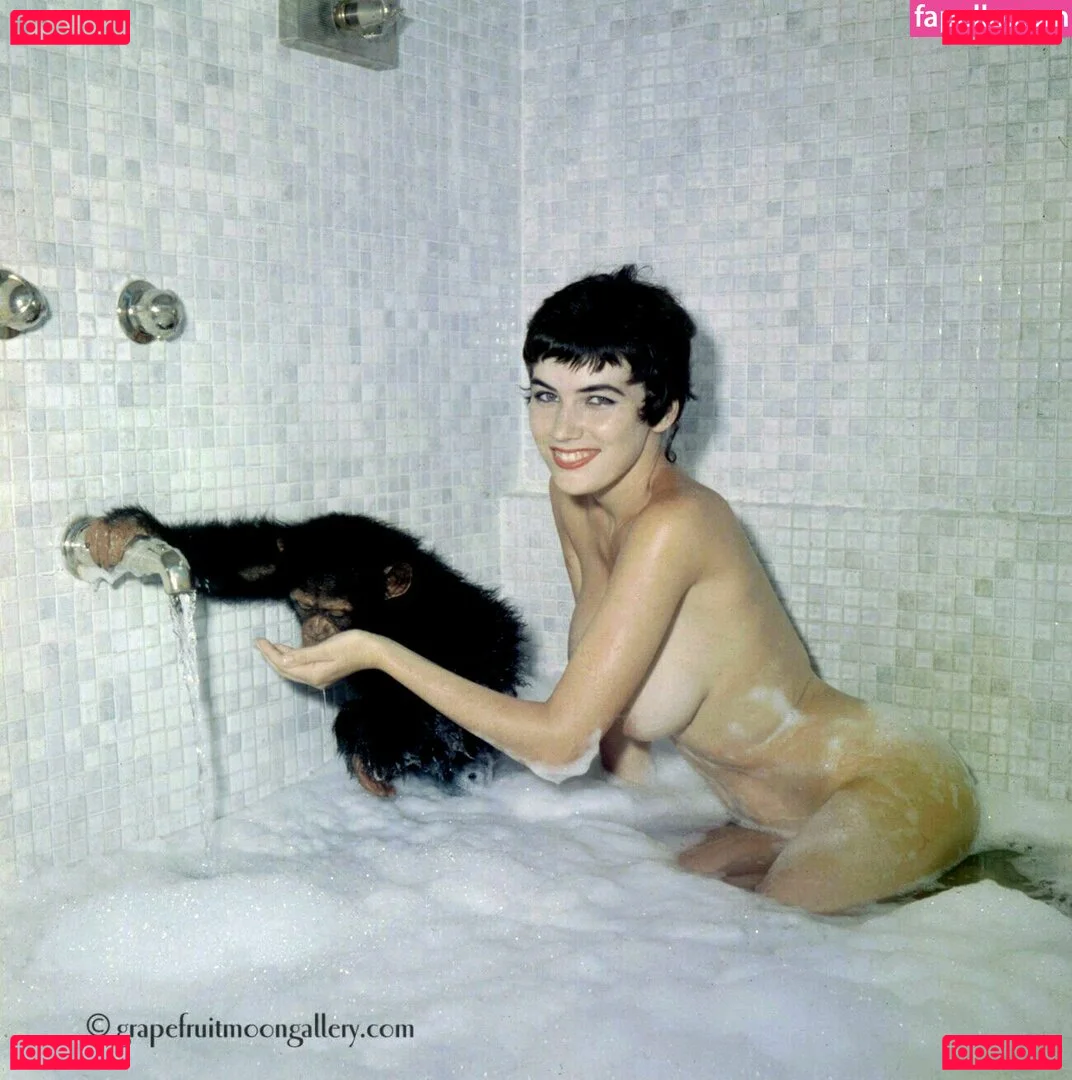 Vintage Starlets Onlyfans Photo Gallery 