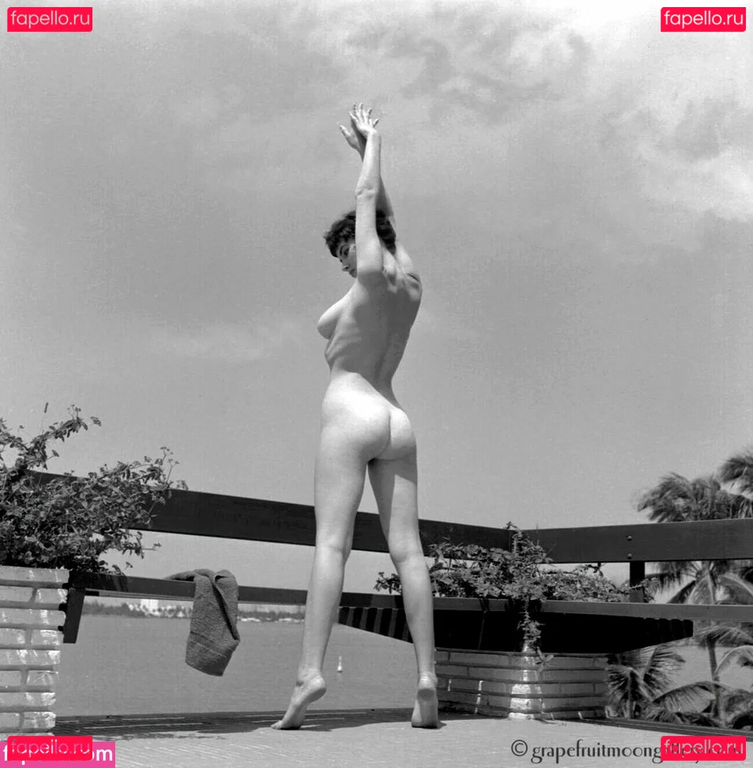 Vintage Starlets Onlyfans Photo Gallery 