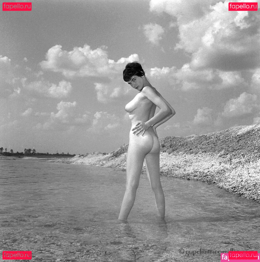 Vintage Starlets Onlyfans Photo Gallery 