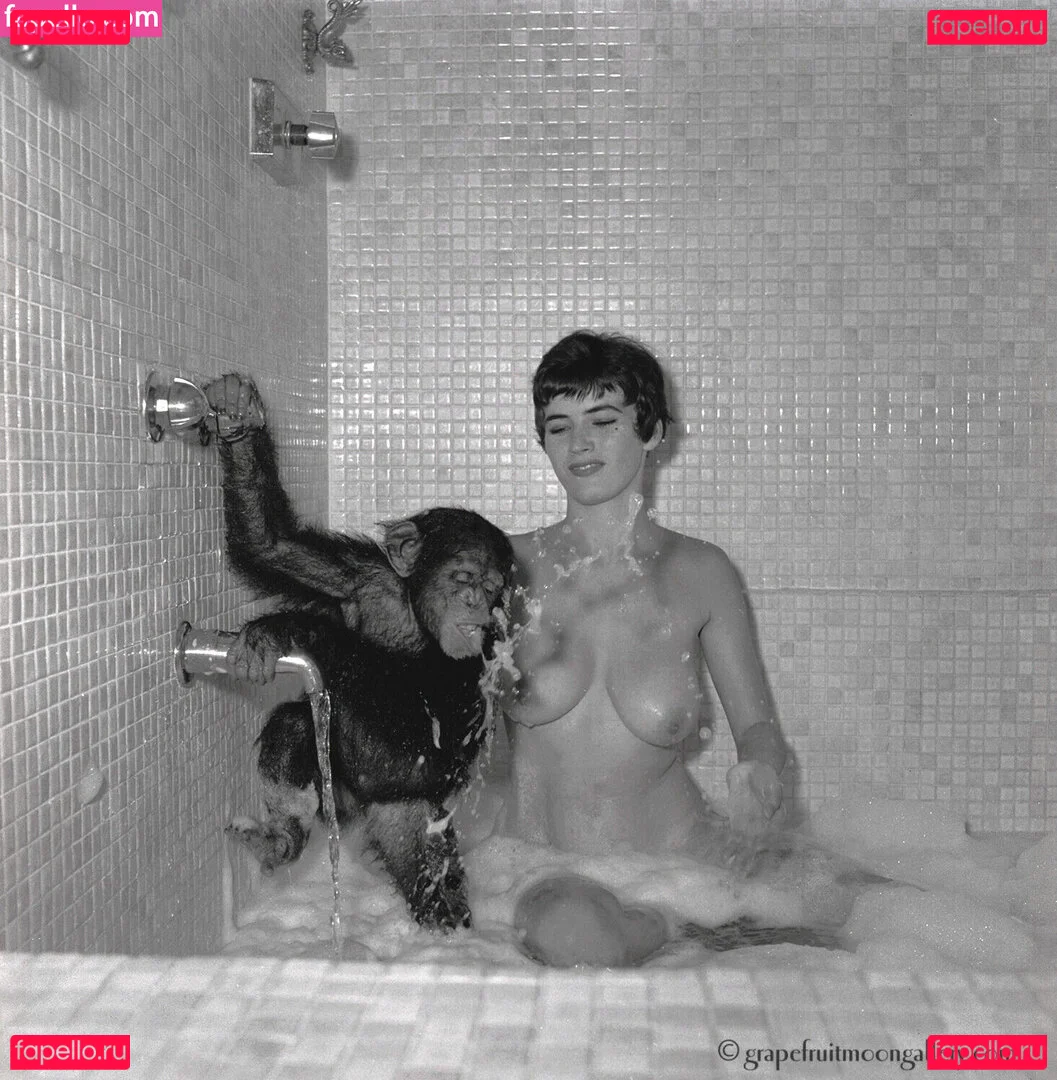 Vintage Starlets Onlyfans Photo Gallery 