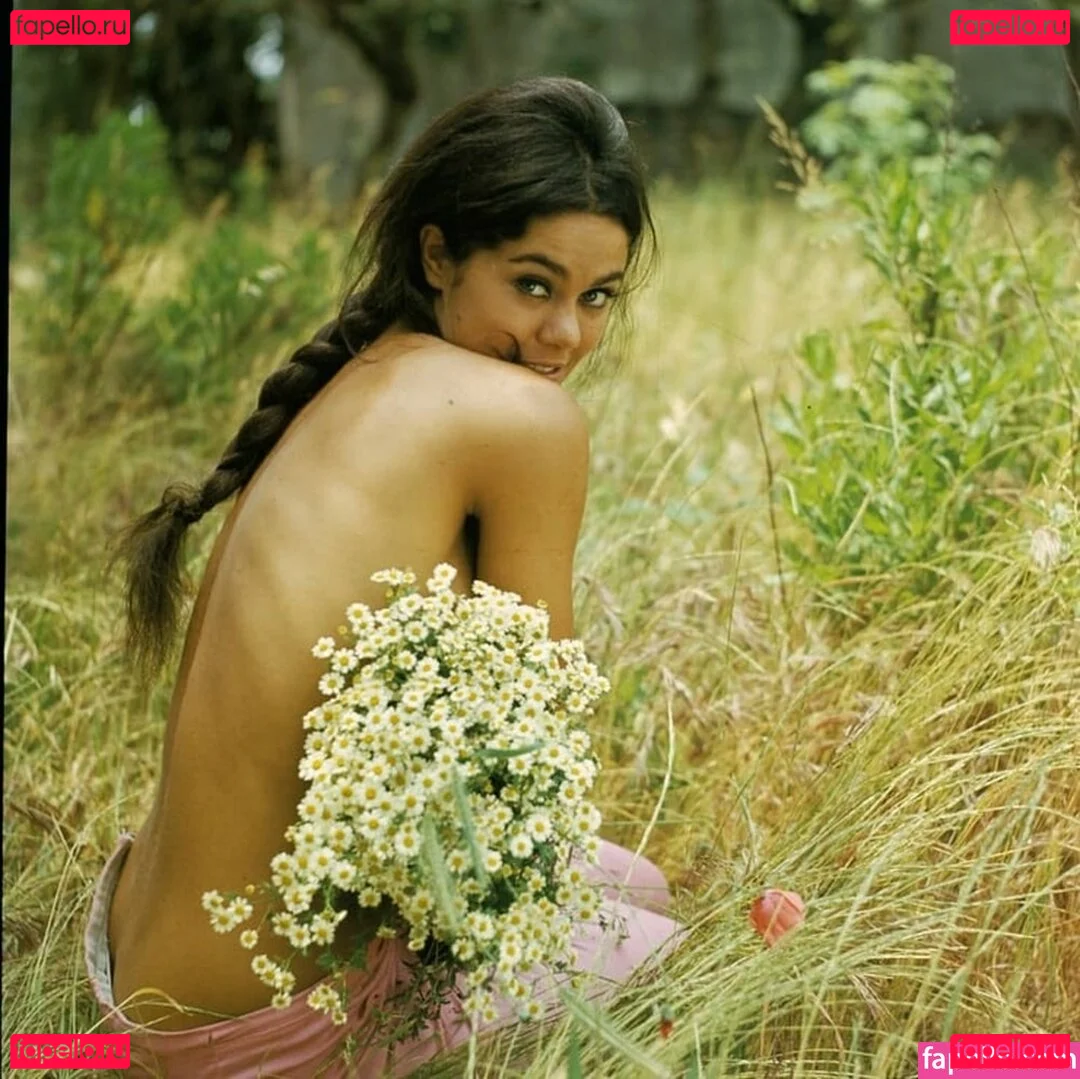 Vintage Starlets Onlyfans Photo Gallery 