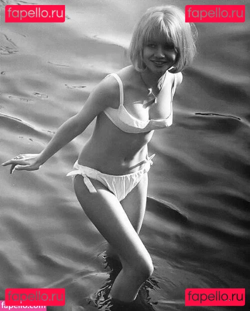 Vintage Starlets Onlyfans Photo Gallery 