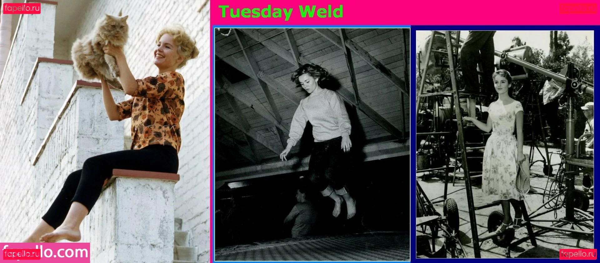 Vintage Starlets Onlyfans Photo Gallery 