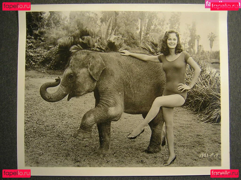 Vintage Starlets Onlyfans Photo Gallery 