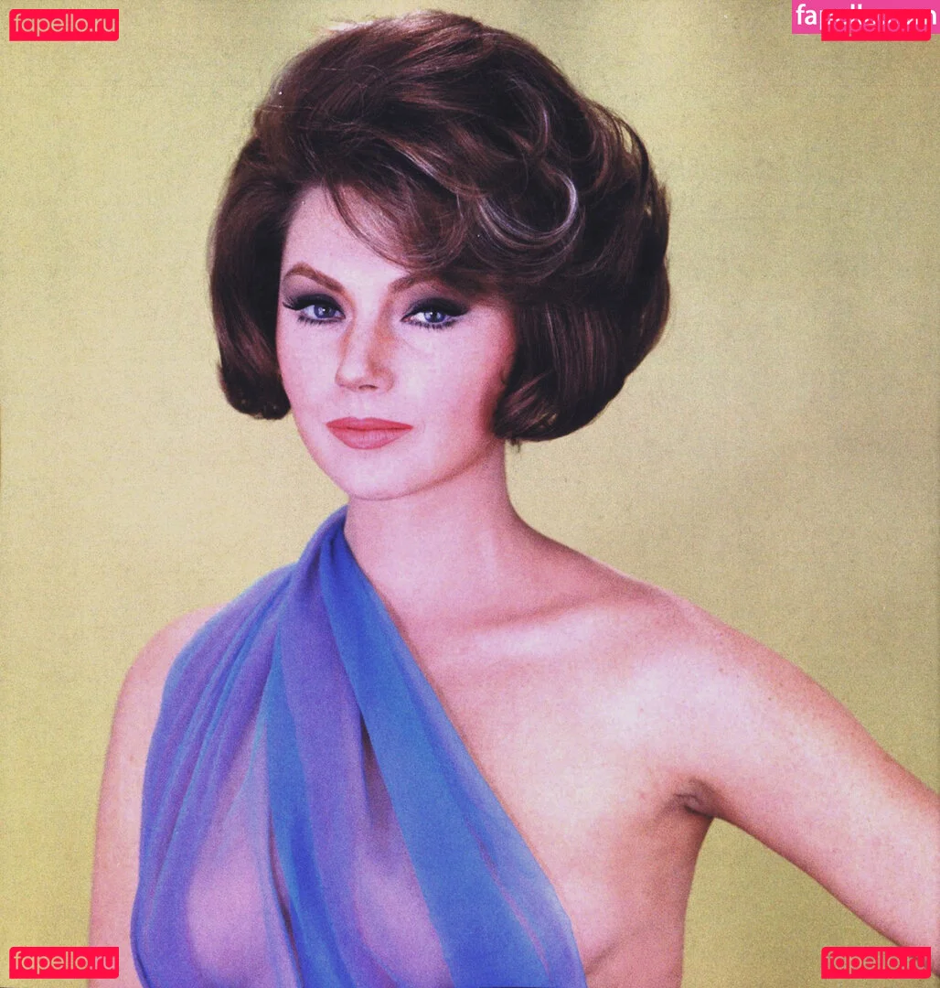 Vintage Starlets Onlyfans Photo Gallery 