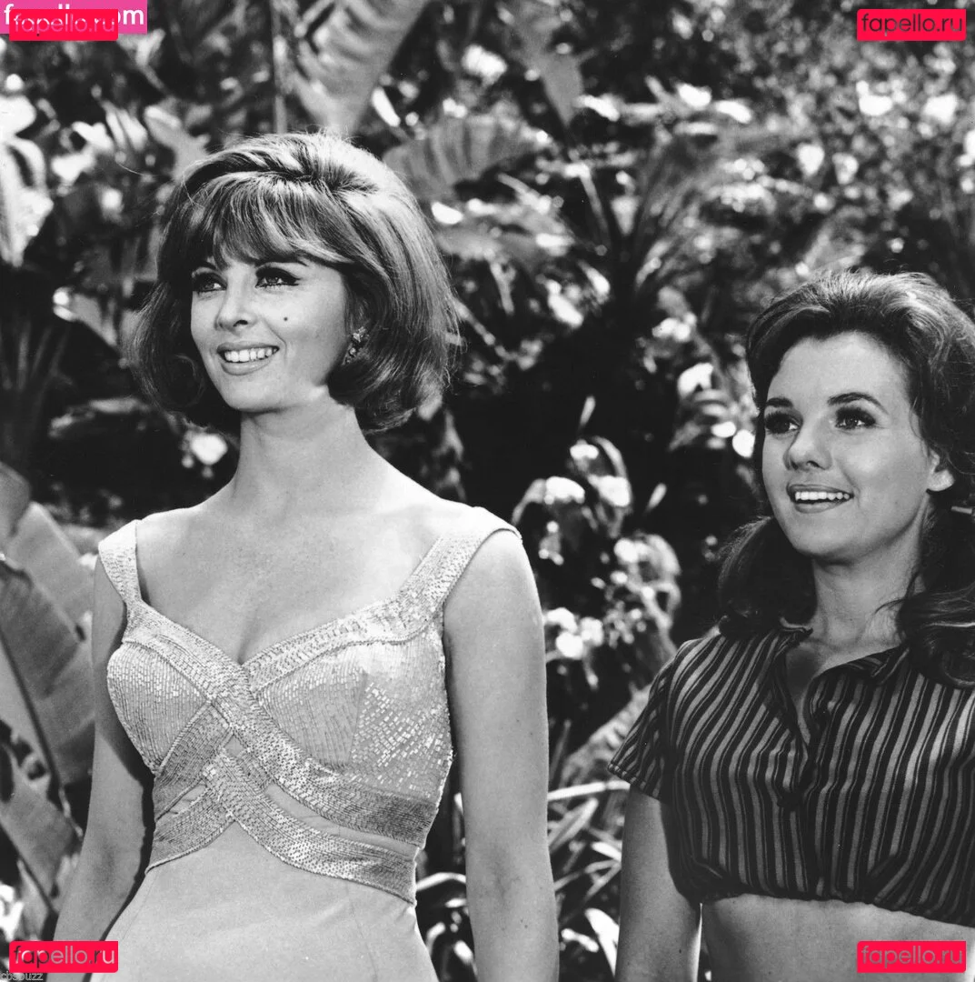 Vintage Starlets Onlyfans Photo Gallery 