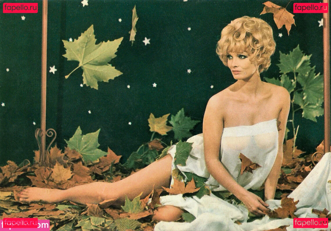 Vintage Starlets Onlyfans Photo Gallery 