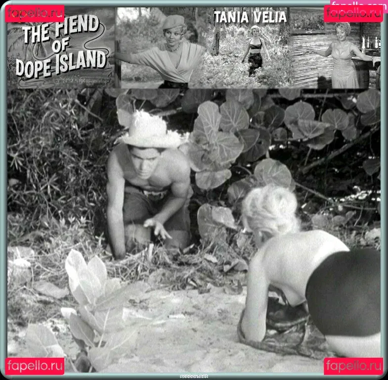 Vintage Starlets Onlyfans Photo Gallery 